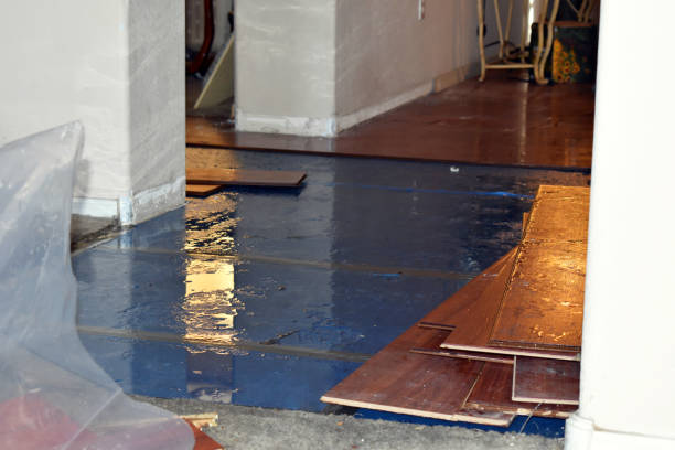 Professional Basement Flood Cleanup technician working in Marlboro, NJ